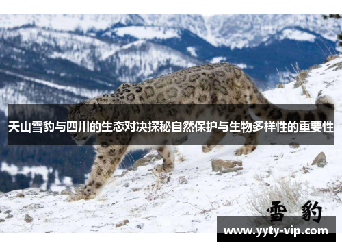 天山雪豹与四川的生态对决探秘自然保护与生物多样性的重要性